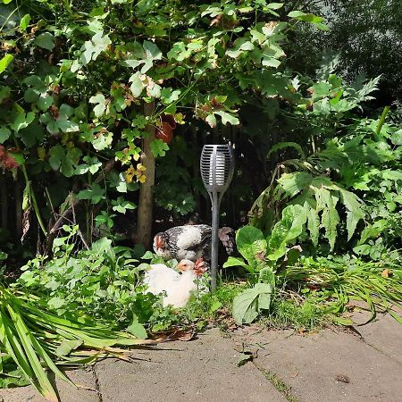 De Akker, Unieke Overnachting In Pipowagens! Ommeren Zewnętrze zdjęcie