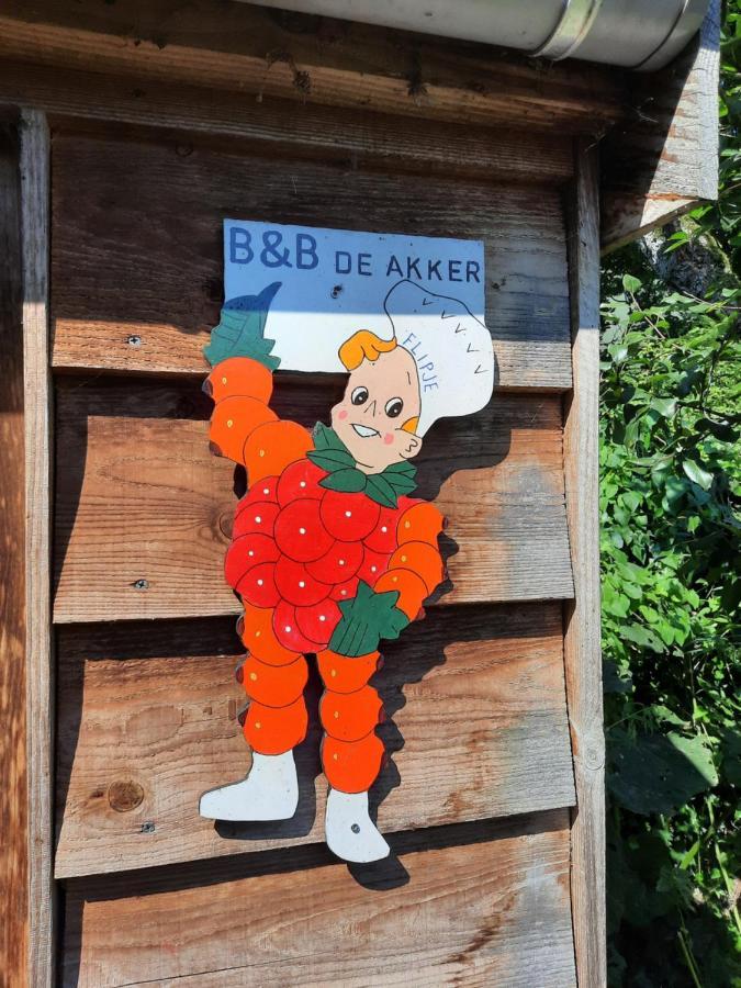 De Akker, Unieke Overnachting In Pipowagens! Ommeren Zewnętrze zdjęcie